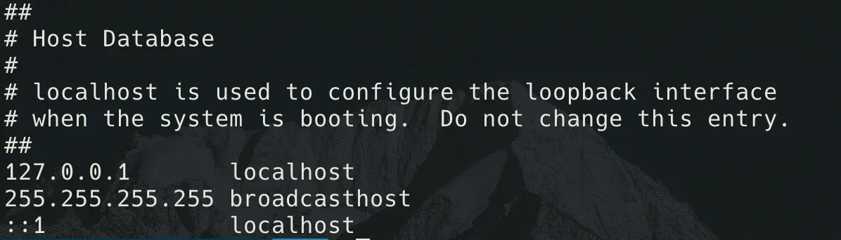 /2024-10-26-docker-network-interface/2024-10-26-network-127001-%EA%B3%BC-localhost-%EC%9D%98-%EC%B0%A8%EC%9D%B4-20241026202656011.webp